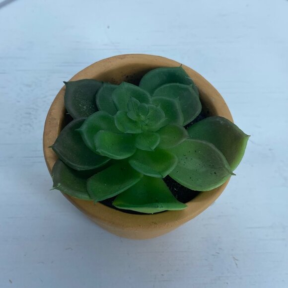 Handcrafted Terracotta Pig Planter With Artificial Succulent 3” - Picture 4 of 7